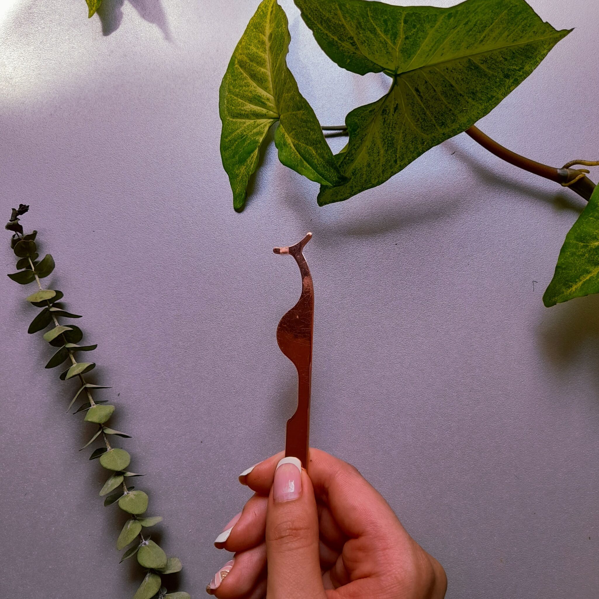 Pinza Aplicador de Pestañas